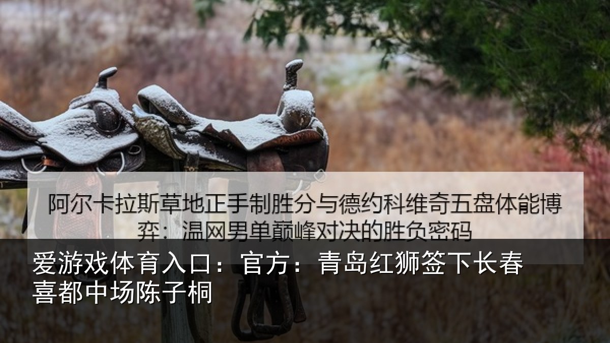 爱游戏体育入口：官方：青岛红狮签下长春喜都中场陈子桐