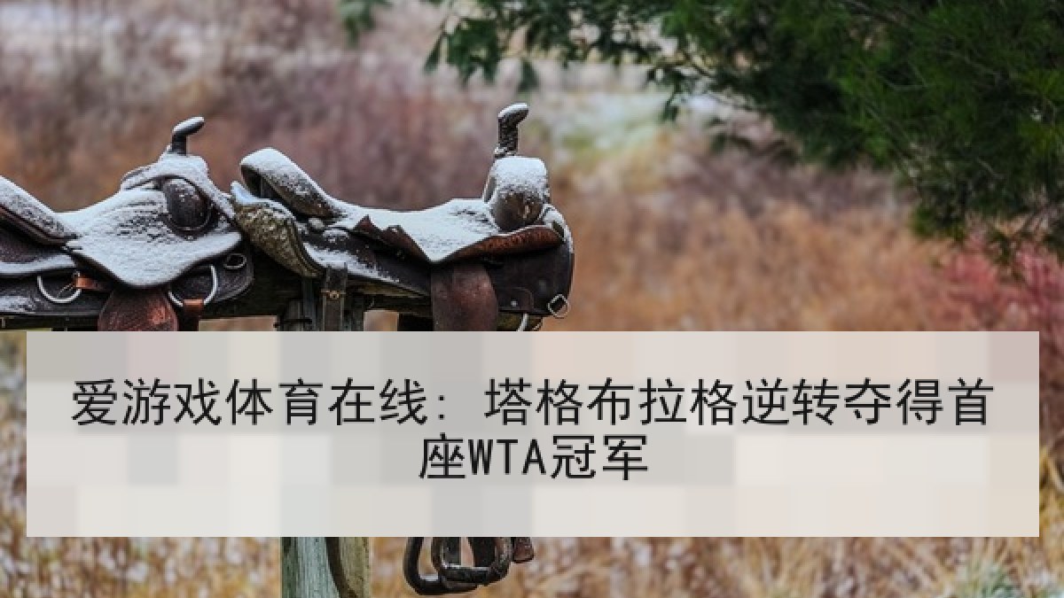 爱游戏体育在线: 塔格布拉格逆转夺得首座WTA冠军