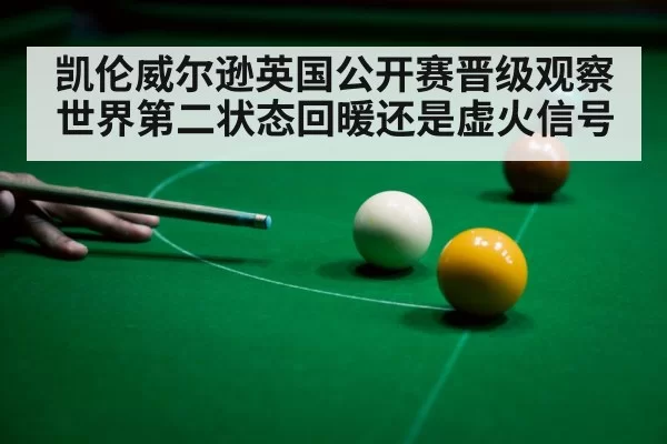snooker cue close up